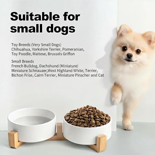 Kimdio Ceramic Dog Bowls with Wood Stand, 13.5OZ Pet Bowls Set of 2 for Medium Small Dogs and Cats - Non-Slip Base Cute Pet Food & Water Basic Bowls Glaze Matte-White thumbnail 2