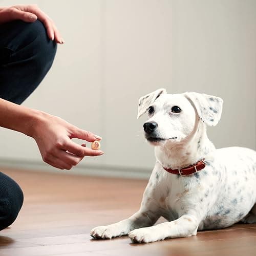 Milk-Bone MaroSnacks Small Dog Treats With Bone Marrow, 40 Ounce Container thumbnail 6