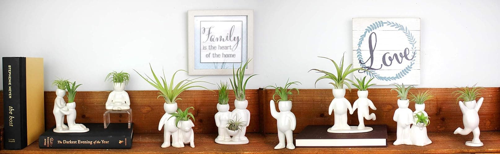 NW Wholesaler 5 Inch White Ceramic Couple Holding Hands People Shaped Planter with Two Live Tillandsia Air Plants - Potted Indoor Air Plants for Home and Office Decor thumbnail 9