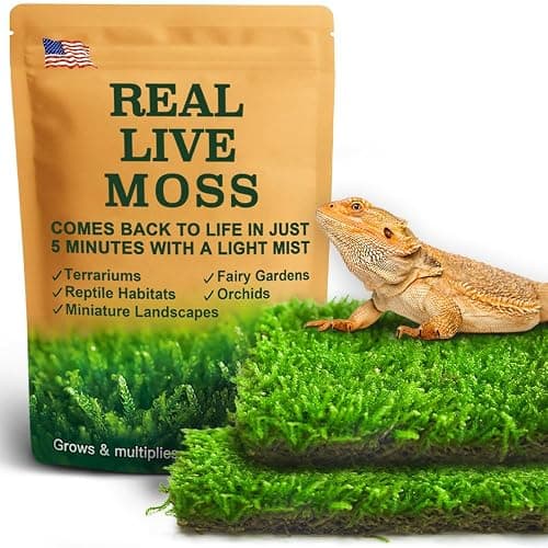 LUCKY PLANT Live Moss for Reptiles - Terrarium Moss for Reptiles Peat Moss for Reptiles Habitat Bedding Moss for Snakes Turtle Frog Gecko and Other Reptiles Substrate 50 Square inches Live Moss - Image 1