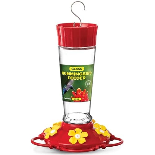 Hummingbird Feeder 10 oz Glass Hummingbird Feeders for Outdoors, with Built-in Ant Guard - Circular Perch with 5 Feeding Ports - Wide Mouth for Easy Filling/2 Part Base for Easy Cleaning - Image 1