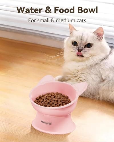 MateeyLife Raised Cat Bowls, Cat Food Bowl Elevated for Kittens & Small Dogs, 15°Tilted Protect Pets' Neck and Anti Vomiting, Whisker Friendly Food & Water Feeding Bowl, 6 oz Each - Pink thumbnail 3