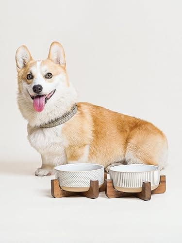 LE TAUCI PET Ceramic Dog Bowls for Medium Small Dogs - 4 Cup Medium Dog Food and Water Bowls with Wood Stand, Cute Pet Dishes Set of 2, Lines+Dot thumbnail 5