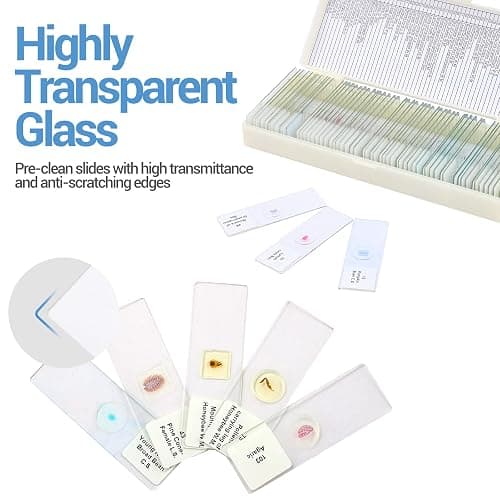 60 Microscope Slides with Specimens for Kids, Prepared Microscope Slides for Kids Microbiology, Prepared Microscope Slides for Adults thumbnail 3