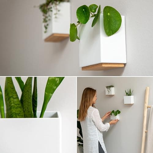 Kazai. Wandvasen -Alma- | Moderne Hängende Blumentöpfe für die Wand | 3-teiliges Übertopf-Set aus hochwertigem Resin für Zimmerpflanzen, Kunstpflanzen, Blumen u.m. | Weiss thumbnail 5