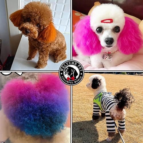 WELYEME Semi-Permanent Dog Hair Dye, Food-Grade Pigment Dog Dye, Pet Hair Dye Used by Grooming Salons, Cats and All Pets Can be Bathed thumbnail 2
