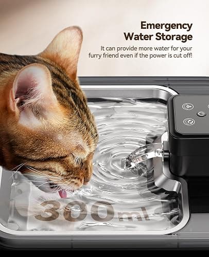 Cat Water Fountain Cordless: [Visual Filter] & [Heavy-Duty Stainless Steel] FEELNEEDY- Premium, Durable Design. 3.2L/108oz, 4000mAh Battery Operated Pet Fountain with Sensor, for Cats and Dogs thumbnail 9