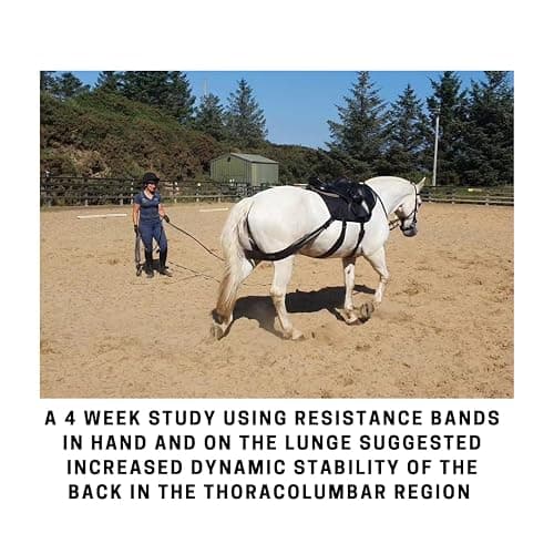 Equine Balance Bands Equine Band System - Core Training Aid for Horses. Saddle Pad and Equibands System thumbnail 8