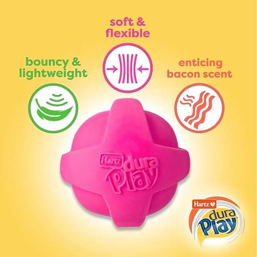 Hartz DuraPlay Ball Squeaky Latex Dog Toy, Neon Green, Neon Pink & Neon Orange, Large 3 Count Pack thumbnail 3