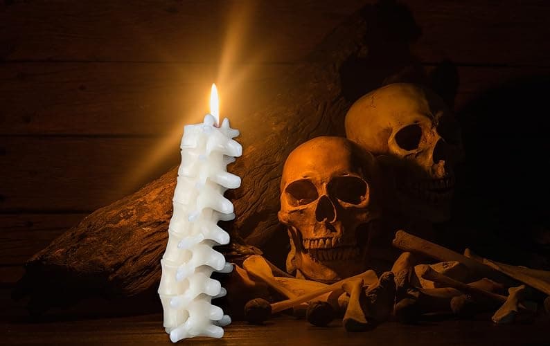 Kobi & Knight Spine Candle - Sandalwood Vanilla Scented Creepy Candles for Gothic Decor Gift - Ivory Spooky Vertebra Candle - Goth Decoration for Halloween thumbnail 6