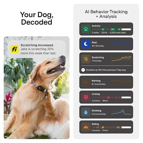 New Fi Series 3+ Smart Dog Tracker Collar – AI GPS for Dogs, Health & Behavior Monitor, Virtual Fence, Escape Alerts, Waterproof, Apple Watch Compatible 12Mo Membership Included thumbnail 5
