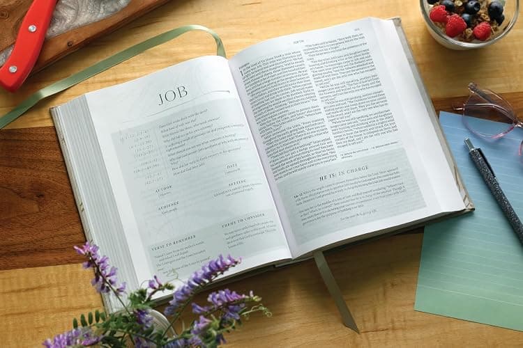 Flourish: The NIV Bible for Women, Cloth over Board, Cream, Comfort Print thumbnail 6