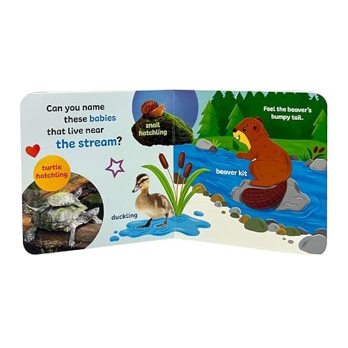 Touch & Feel: Forest Babies - Board Book for Toddlers With Peek-Through Holes thumbnail 7