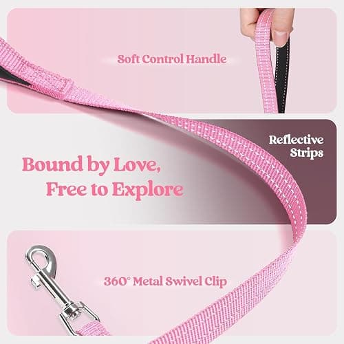 rabbitgoo Dog Harness Small Sized and Leash Set, Step-in Puppy Pet Vest | Light, Soft, Breathable Air Mesh, Easy on and Remove with Hook & Loop, Secure Reflective for Walking, Light Pink S thumbnail 6