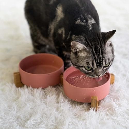 SPUNKYJUNKY Ceramic Dog and Cat Bowl with Wood Stand Non-Slip Matte Glaze Weighted Food Water Set for Cats &Small Dogs 13.5 OZ thumbnail 2