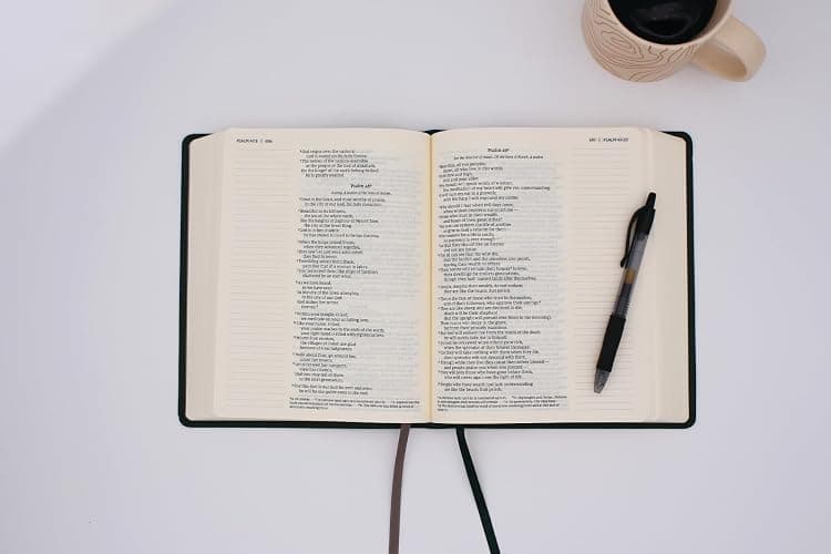 NIV, Journal the Word Bible (Perfect for Note-Taking), Leathersoft, Green, Red Letter, Comfort Print: Reflect, Take Notes, or Create Art Next to Your Favorite Verses thumbnail 5