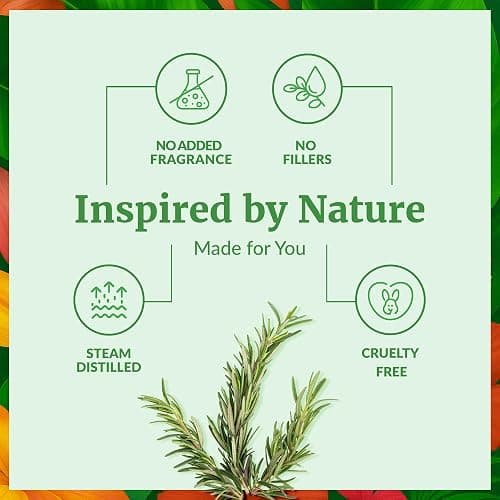 SVA Rosemary Essential Oil – 4 Fl Oz – 100% Natural Rosemary Oil for Hair, Face, Skin Care, Diffuser, Aromatherapy, Scalp, Body Massage, Soap and Candle Making – with Dropper thumbnail 3