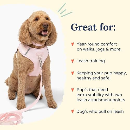 Lucy & Co. The Rosewater No-Pull Dog Harness - Size Large - Vest to Stop Pulling & Walk Easy - Comfortable Leash Training Product w/Adjustable Chest & Neck Straps thumbnail 4