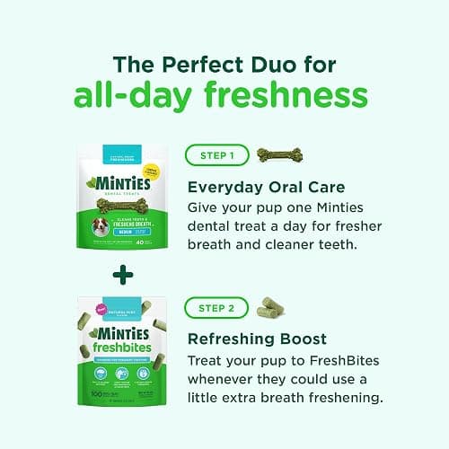 Minties FreshBites Soft and Chewy Dental Treats for Dogs, Low Calorie Natural Mint Flavored Dental Chews for Dogs, 50 Count, Chews Clean Teeth, Fight Bad Breath, and Removes Plaque and Tartar thumbnail 2