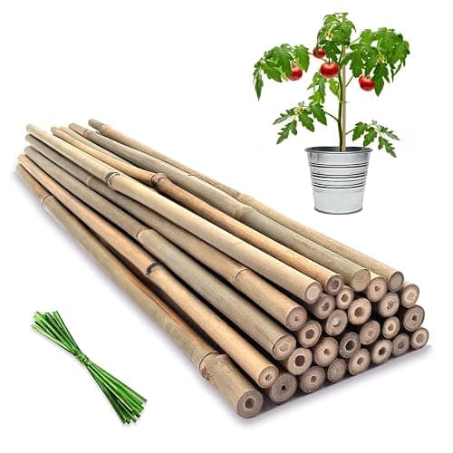 Plant Stakes,18 Inches Natural Garden Bamboo Sticks,BOVITRO 20Pcs Plant Support Stakes for Tomatoes,Beans,Vegetable and Potted Plants - Image 1