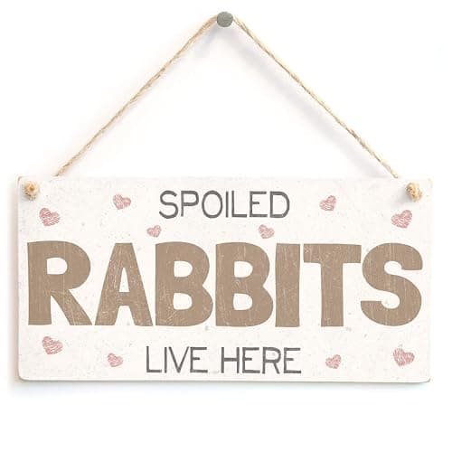 Meijiafei Spoiled Rabbits Live Here - Pretty PVC Rabbit Sign/Plaque 10"x5" - Image 1