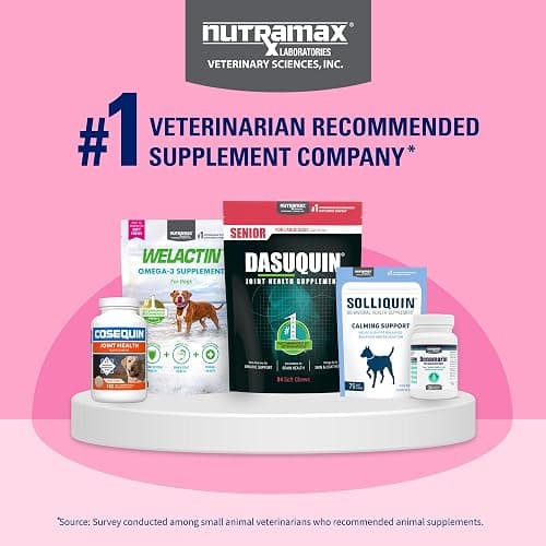 Nutramax Proviable Probiotics + Prebiotics, for Dogs & Cats, Capsules, 80ct | Probiotics and Prebiotics for Cats and Dogs, Daily Gut Health Support Supplement, Multiple Strains, Sprinkle on Food thumbnail 11
