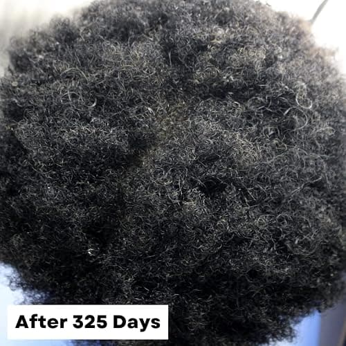As I Am Hair Spray, Rice Water 16oz - with Forbidden Black Rice, Saw Palmetto, Biotin - Clean, Protein-Free Formula - Odor, Vegan & Cruelty Free - For All Hair Types thumbnail 6