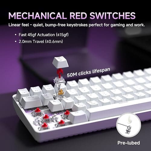 DIERYA DK68 Wireless Mechanical Keyboard, 60% Gaming Keyboard with Red Switch, Triple Mode 2.4GHz/USB-C/BT5.0, RGB Backlit, Anti-Ghosting Keys, 68 Keys Portable Mini Wired Office Keyboard-White thumbnail 4