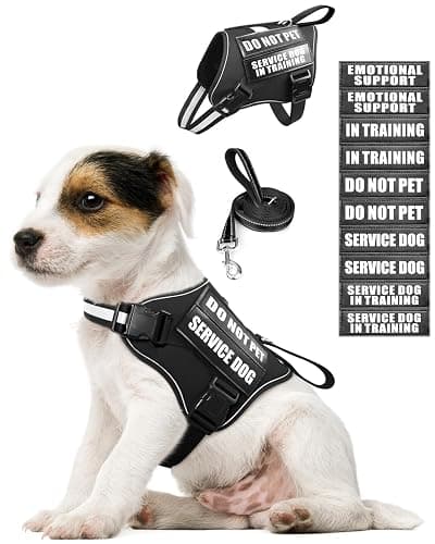 MOOGROU Service Dog Vest Harness and Leash Set+10 Patches for Puppy Small Dogs,Do Not Pet Emotional Support Dog Vest with 2 Soft Padded Handle for Everyday/Training (Black XS) | Adjustable Reflective Do Not Pet Emotional Support Dog Vest with 2 Soft Padded Handle,MOLLE,for Everyday Training Hiking - Image 1