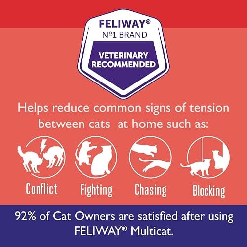 FELIWAY® MultiCat 3 x 30 Day Cat Calming Refills for Pheromone Diffuser, 3 x 48ml Value Pack- Helps Reduce Conflicts and Signs of Tension in Multi-Cat Households thumbnail 2