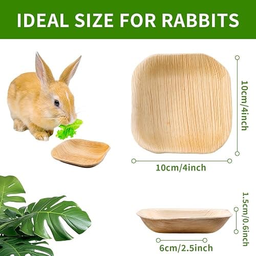 Jiaxix 30 Pcs Disposable Palm Leaf Bowl 4" Square Bowls for Rabbits,Chewable Dish for Rabbits,Bunnies,Hamsters,Parrot thumbnail 2