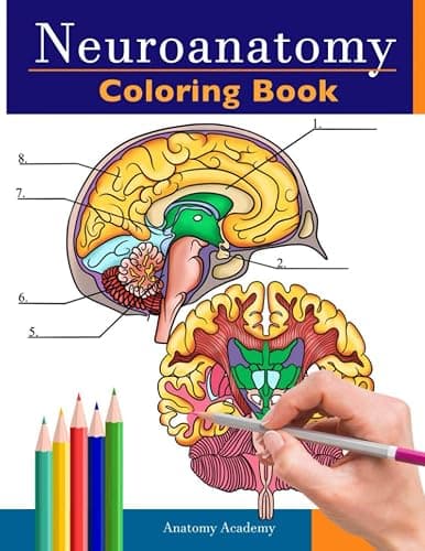 Neuroanatomy Coloring Book: Incredibly Detailed Self-Test Human Brain Coloring Book for Neuroscience | Perfect Gift for Medical School Students, Nurses, Doctors and Adults - Image 1