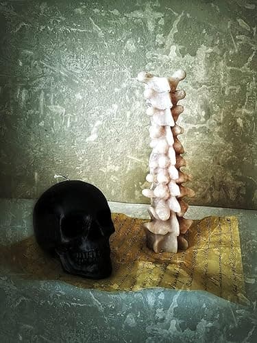 Zellinni Spine Candle for Halloween Decor - Premium Unscented Soy Candle w/Cotton Wick for Clean Burn - Goth Room Decor Vertebra Candles for Parties, Home, Rituals, Halloween Decorations Indoor - Gray - Grey white bone thumbnail 6