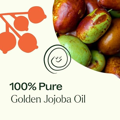 Plant Therapy Jojoba Golden Carrier Oil 4 oz 100% Pure, Cold-Pressed, Natural and GMO-free Moisturizer and Carrier Oil for Essential Oils thumbnail 5