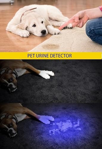 DARKBEAM UV 365nm Light Wood's lamp Blacklight Ultraviolet Flashlight LED Portable Mini Handheld Torch Detector for Dog Urine Pet Stains 370nm Anti-counterfeiting Identification, Resin Curing thumbnail 9