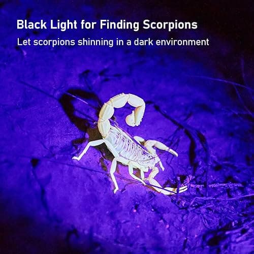 GLOSSDAY Blacklight Flashlight,128 LED UV Flashlights, Upgraded Bright Ultraviolet Flashlight Professional Black Light for Dog/Cat, Hunting Scorpions thumbnail 4