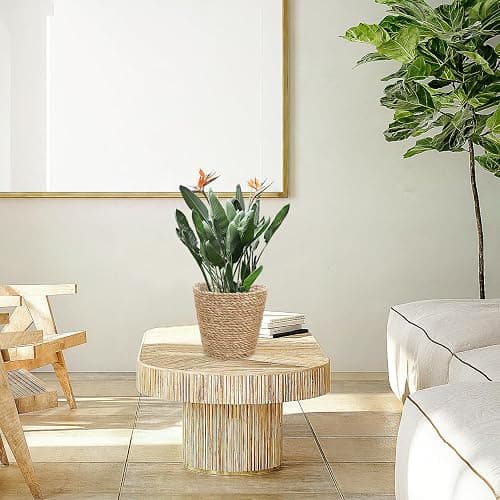 Balacoo Woven Plant Basket: Pot Basket Planter Seagrass Basket Wicker Baskets Natural Storage Pot for Storage Laundry thumbnail 4