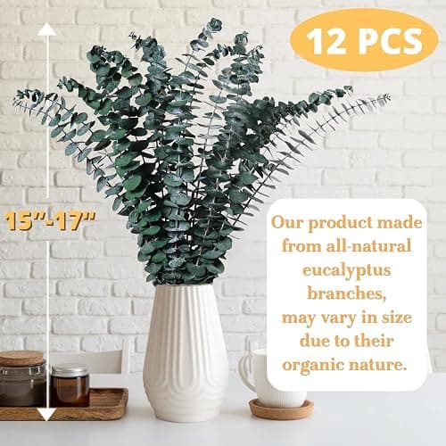12PCS Dried Eucalyptus for Shower Hanging - 17'' Real Large Preserved Eucalyptus Stems Green Home Decor, 100% Made from Fresh Eucalyptus Leaves, Bathroom Shower Decor, Wedding, DIY thumbnail 2