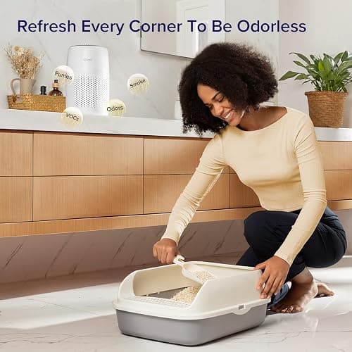 LEVOIT Air Purifiers for Bedroom Home, 3-in-1 Filter Cleaner with Fragrance Sponge for Better Sleep, Filters Smoke, Allergies, Pet Dander, Odor, Dust, Office, Desktop, Portable, Core Mini-P, White - Air Purifier - White thumbnail 3