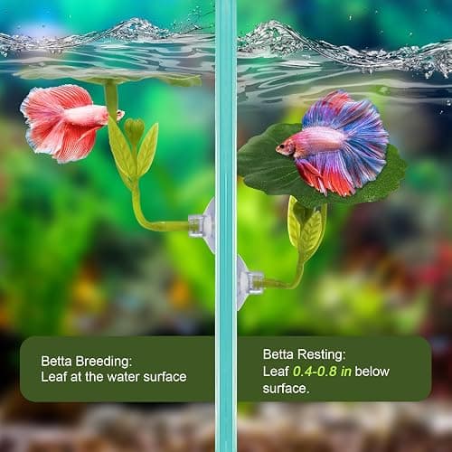 5PCS Betta Hammock & Fish Toys Set, Soft Aquarium Plants & Black Tunnel Hideout for Betta Fish Tank, Safe Decor with Suction Cups for Shrimp, SmallFish thumbnail 5