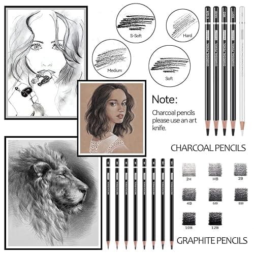PANDAFLY Drawing Sketching Pencil Set, 22 Piece Pro Art Pencil Kit - Graphite Pencils (12B-2H), Black and White Charcoal Pencils, Charcoal Sticks, Stumps, Eraser, Sharpeners thumbnail 4