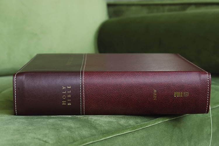 NIV, Family Bible (Keepsake Edition), Leathersoft, Burgundy, Red Letter thumbnail 5