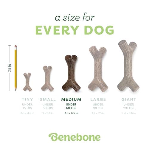 Benebone Maplestick Real Wood Durable Dog Chew Toy, Made in USA, Medium thumbnail 4