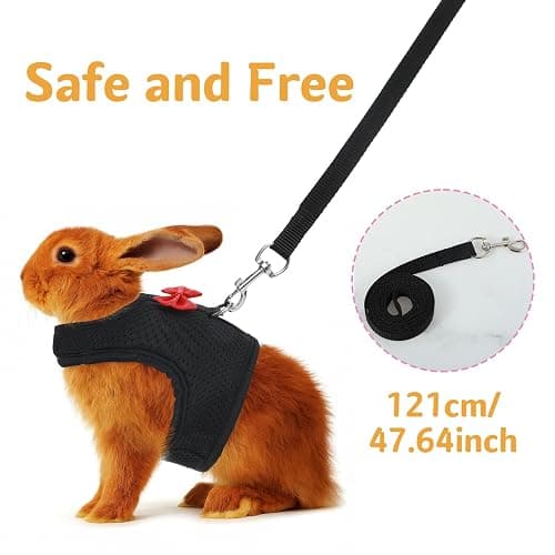 Bunny Harness and Leash Set, Soft Breathable Mesh Rabbit Leash Vest with Safety Buckles, Lightweight Escape-Proof Walking Gear for Rabbits, Kittens, Ferrets, Guinea Pigs, Black M thumbnail 2