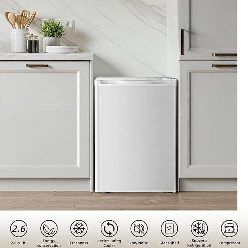 Antarctic Star 2.6 Cu.Ft.Compact Refrigerator with Freezer, Mini Fridge Single Door with Adjustable Thermostat,Removable Glass Shelves for Apartment,Dorm,Office,Kitchen，WHITE thumbnail 6