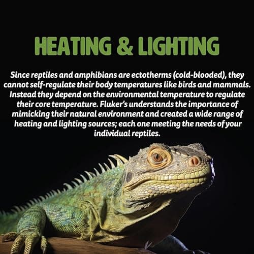 Fluker's Basking Spotlight Bulbs for Reptiles thumbnail 5