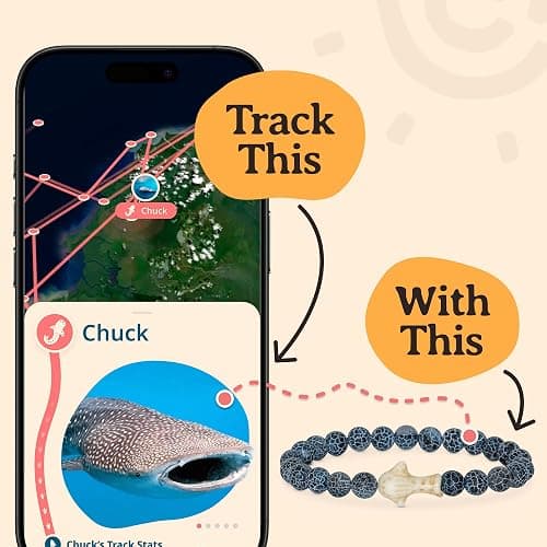 Fahlo Quest Bracelet Whale Shark Tracking Bracelet, Elastic, Supports Georgia Aquarium, one Size fits Most for Men and Women thumbnail 2
