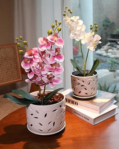 EFISPSS Orchid Pot with Holes, 5+6Inch Ceramic Plant Pots with Drainage Holes and Tray, Promoting Air Circulation and Drainage, Indoor/Outdoor White Flower Pots thumbnail 6