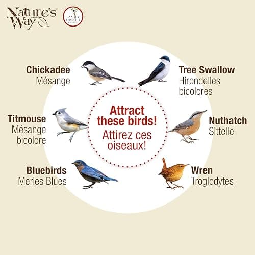 Nature's Way Bird Products CWH4 Cedar Bluebird Viewing House thumbnail 6