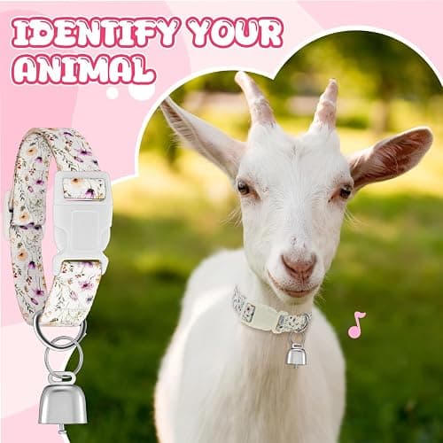 Yeyeplum 2 Pack Goat Collars with Bells, Sheep Grazing Copper Bells and Adjustable Nylon Collar Set Loud Bronze Bell for Farm Animal Sheep Cow Accessories Christmas Thanksgiving Gift for Goat Lovers thumbnail 5